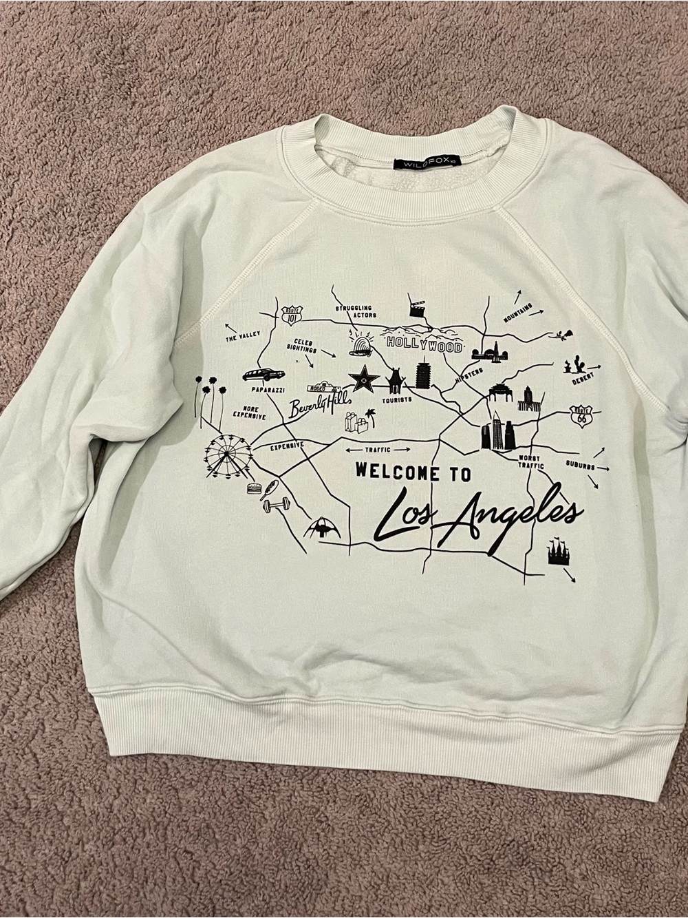 Wildfox Mint Green Los Angeles Graphic Crewneck Sweater
